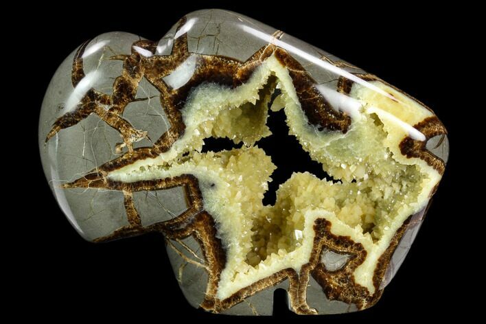 Calcite Crystal Filled, Polished Septarian Buffalo - Utah #123849